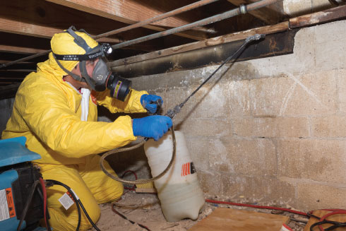 Bioresponse technician fumigating in a basement