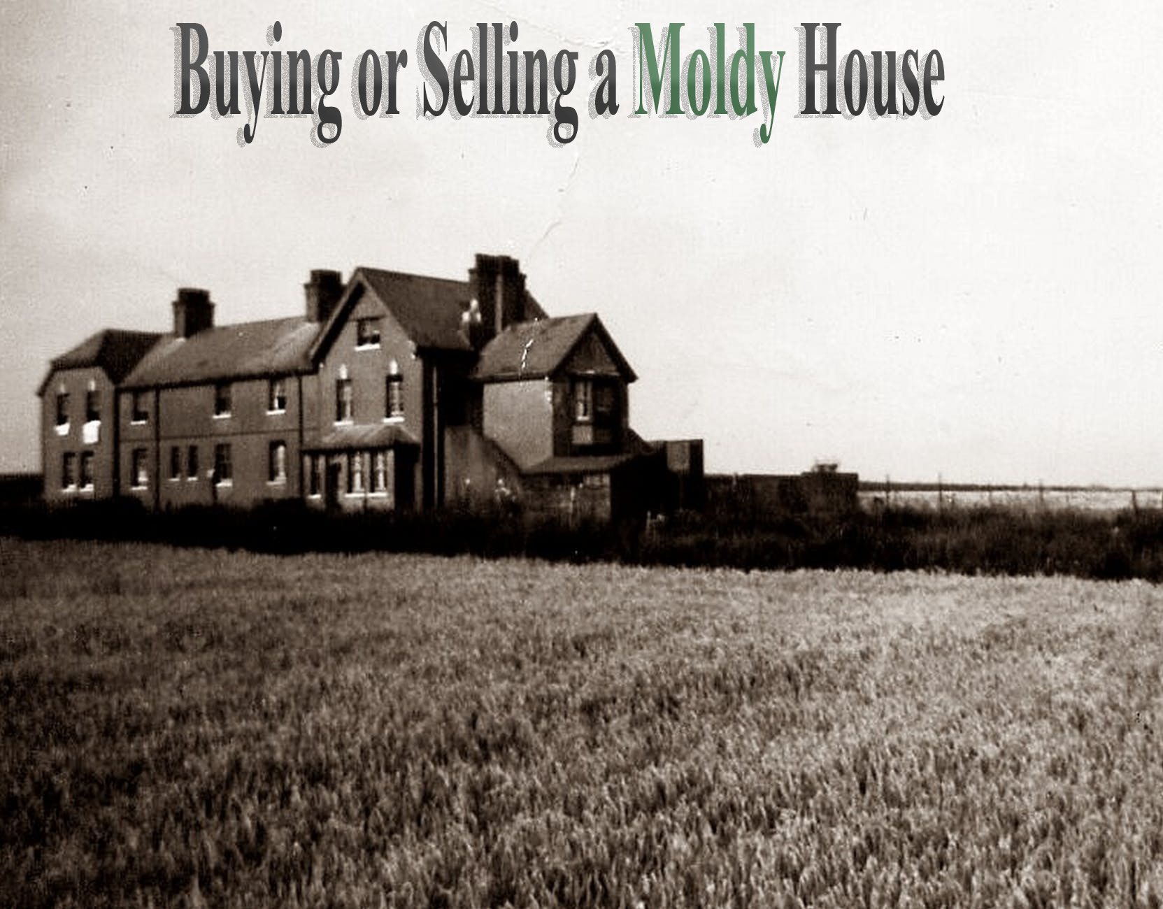 Buying or Selling a Moldy House