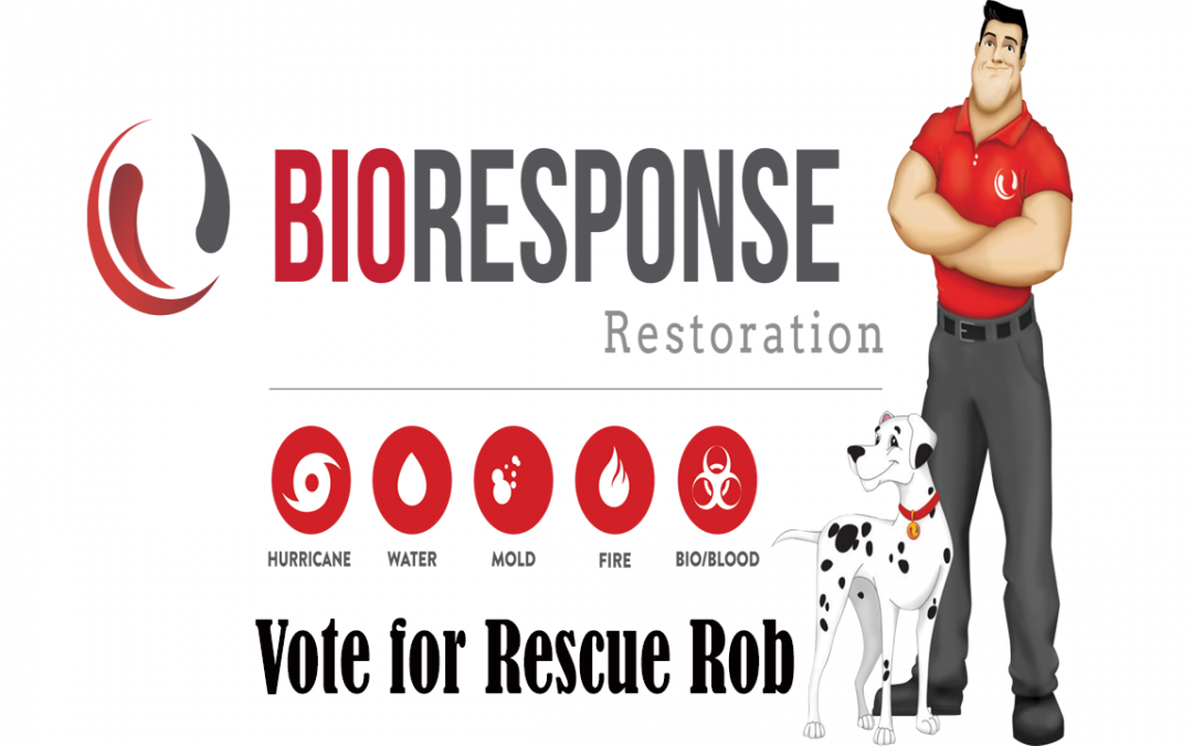 Vote For Rescue Rob