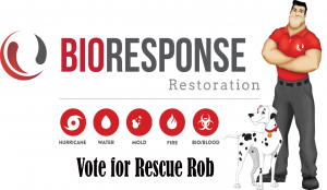 vote for rescue rob