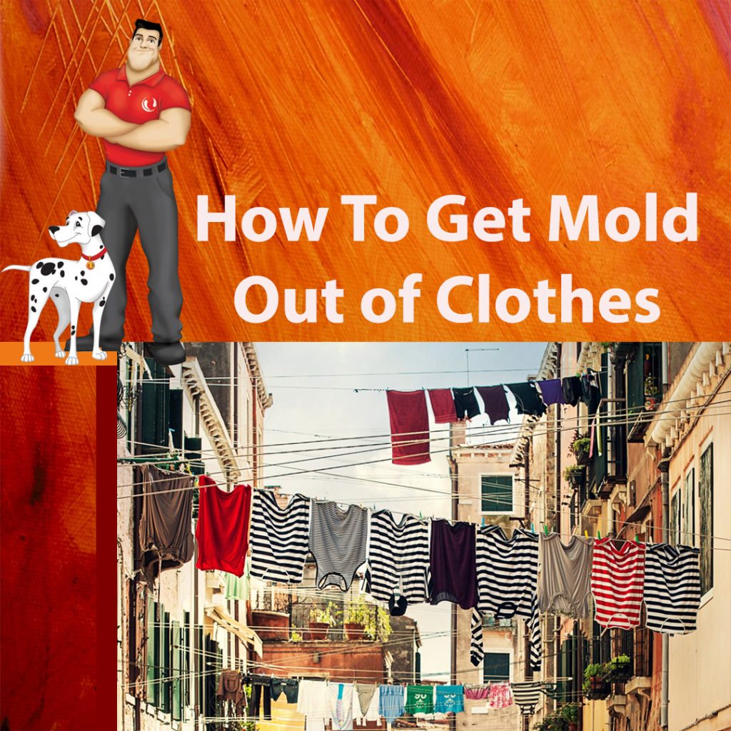 How to get mold out of clothes