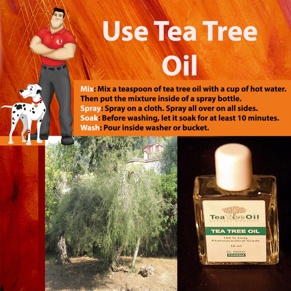 how to use tea tree oil to get mold out of clothes
