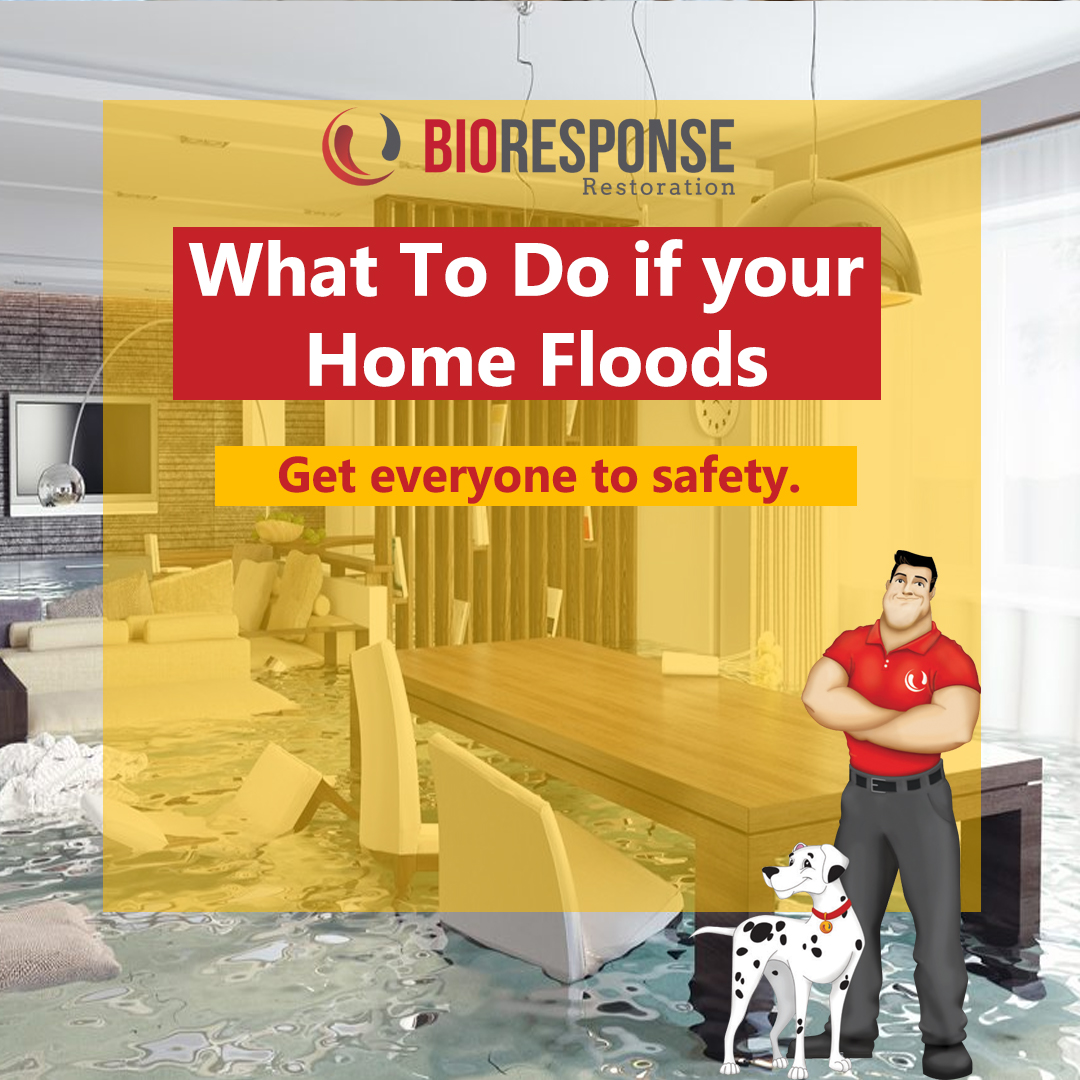 Get Everyone to Safety