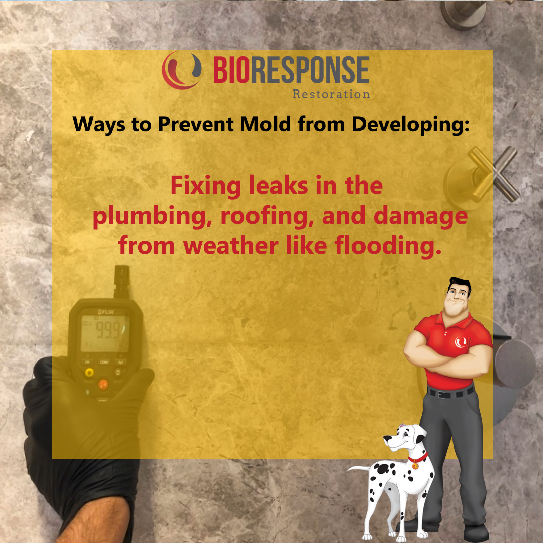 Fixing leaks in the plumbing