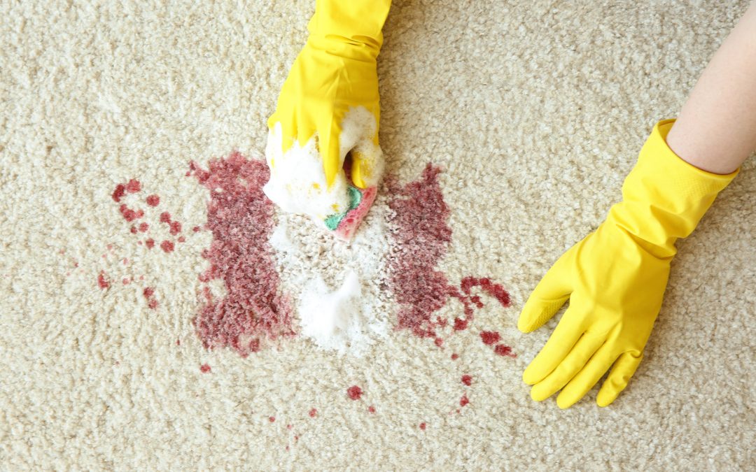 Blood Removal and Cleaning