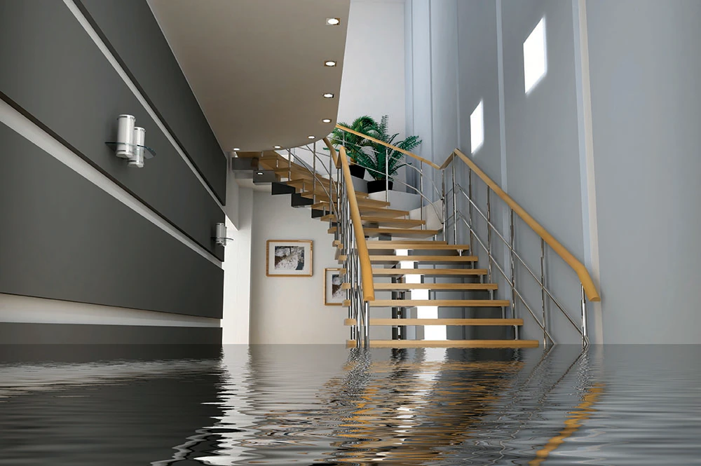 modern interior in Insurance case