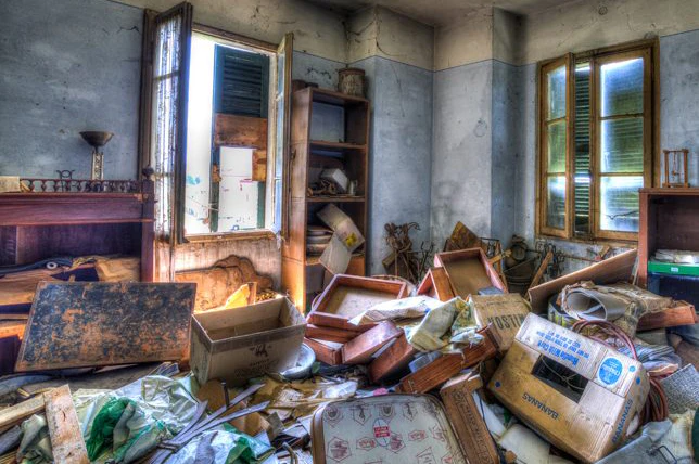 Hoarder Clean Up